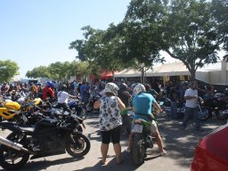 XVII Concentracion - 2010